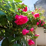 Art Elsor بيت ضيافة