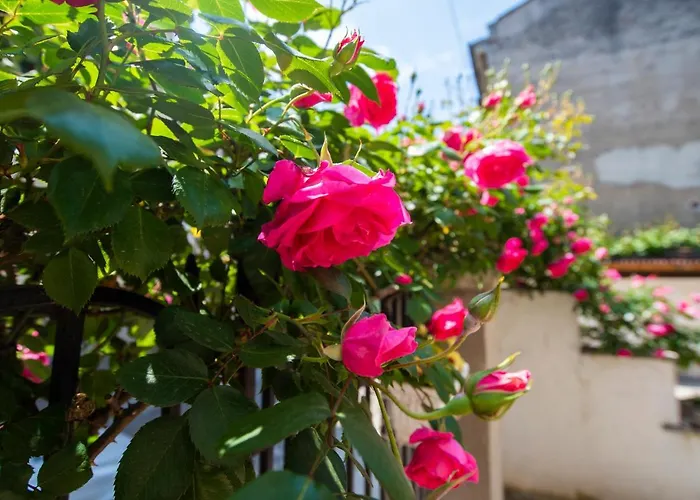 Art Elsor Гостевой дом